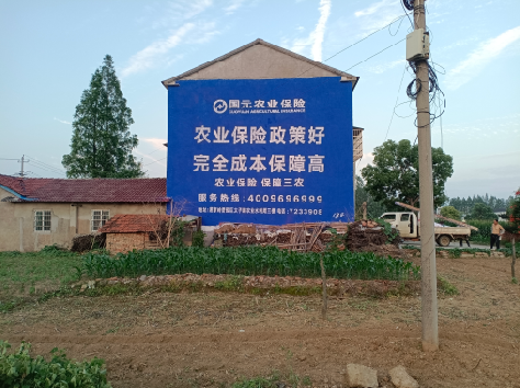 龙陵墙体广告为何受追捧？