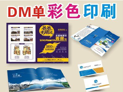 龙陵单页印刷，色彩搭配简单。